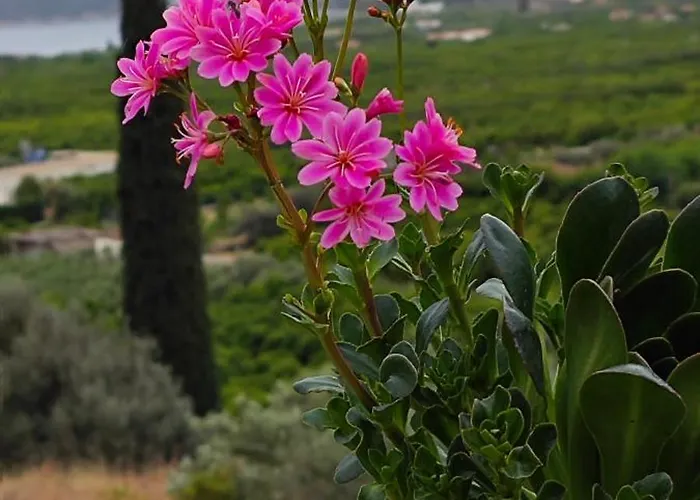 Melissafarm * Epidaurus