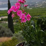 Melissafarm * Epidaurus