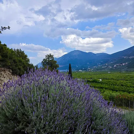 Appartamento Melissafarm